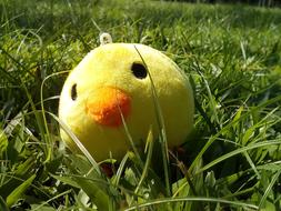 Birds Grass Tree toy