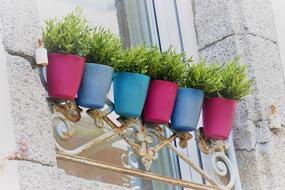 cute pots with plant on the house window