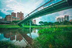 landscape of Bridge in Bishan Park