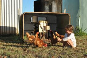 a happy baby with chickens