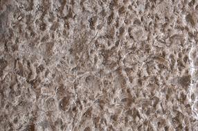 Texture Asphalt