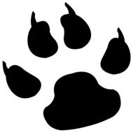 Black animal paw silhouette at white background