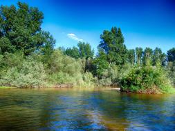 River at Summer Nature