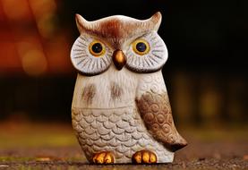 Owl Bird Funny caramic decoration
