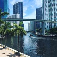 cityscape View of Miami River Beautiful