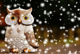 Owl Bird Funny decor