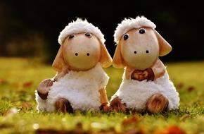 two Sheep sitting on lawn, Decoration