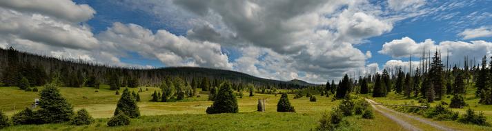 Panorama Å umava Landscape