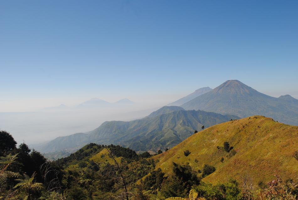 Temanggung Wonoboyo Folk