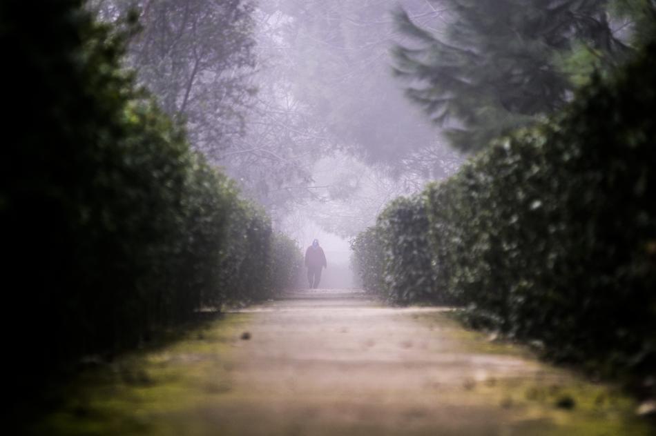 fog over a park in Beylikduzu, Istanbul