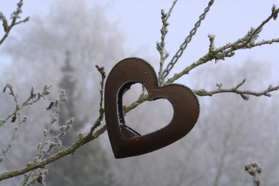 a wooden heart on a branch