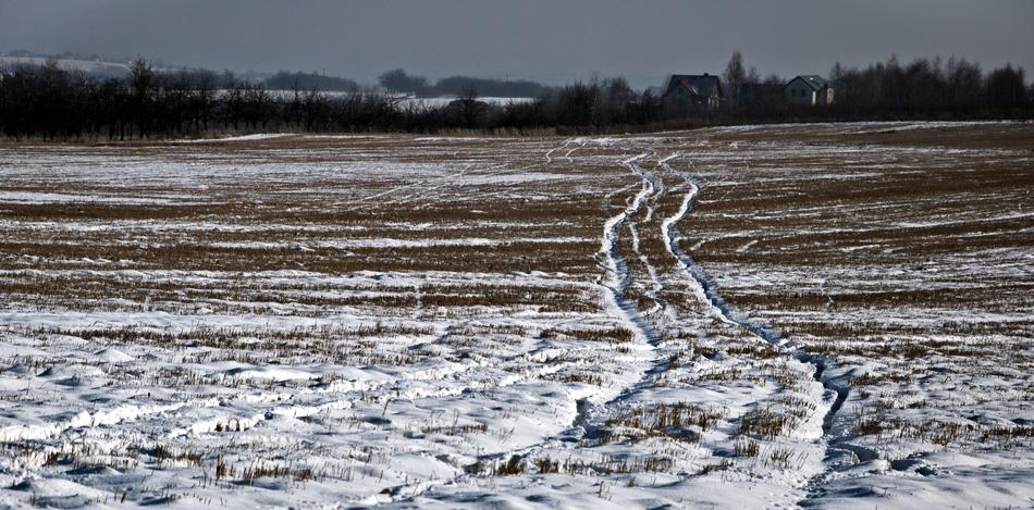 path through the field in winter