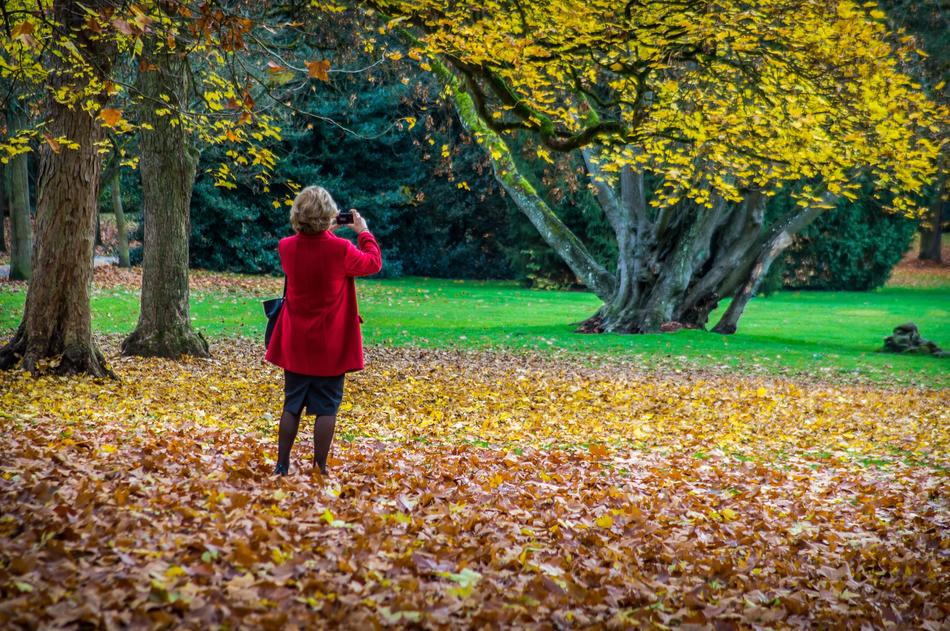 Autumn Leaves Photographer
