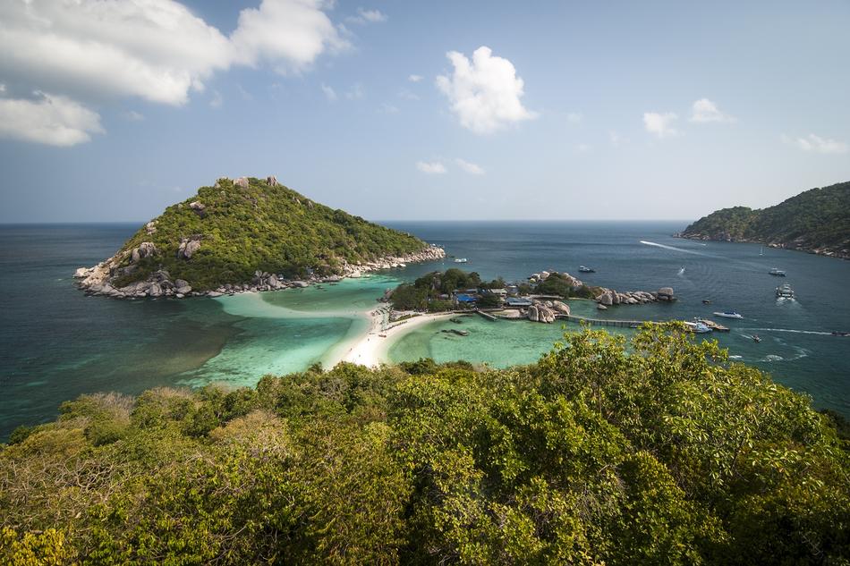 beautiful scenery with the ocean