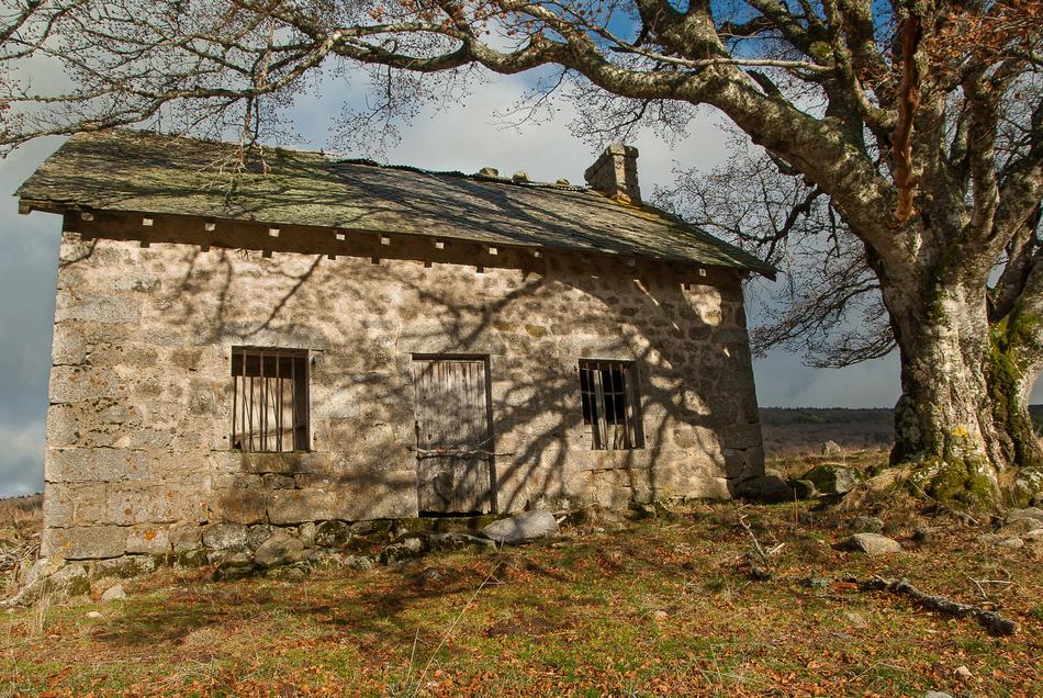 Buron house in Lozère, near the trees, in France