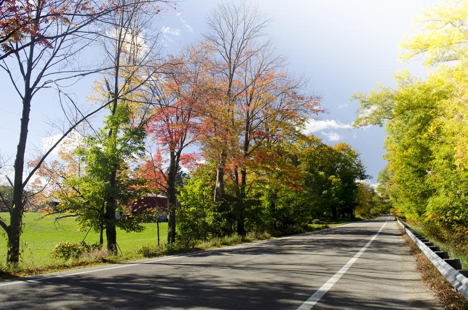 Road Fall Countryside