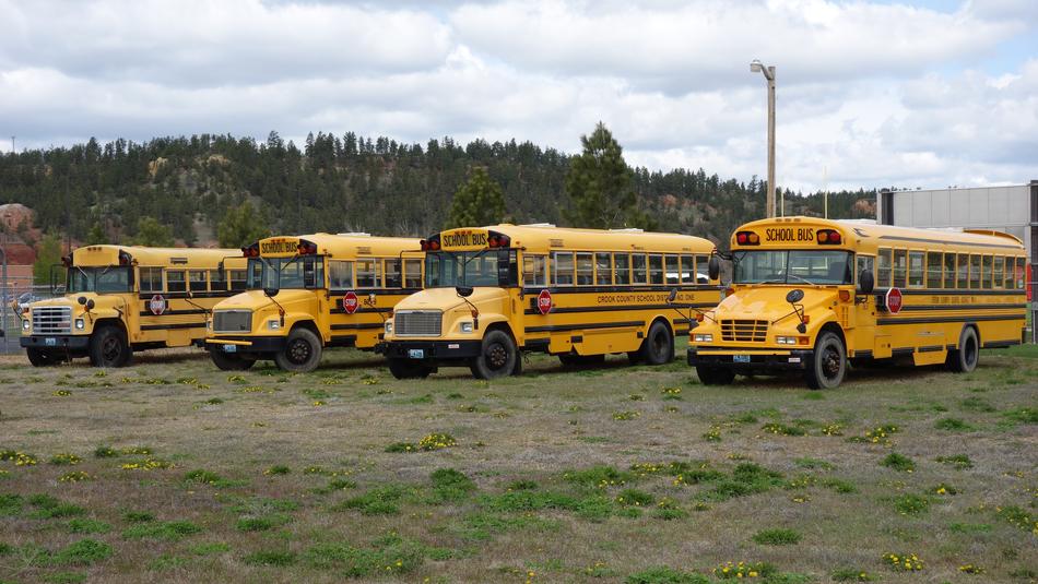 Schoolbus Yellow Transport