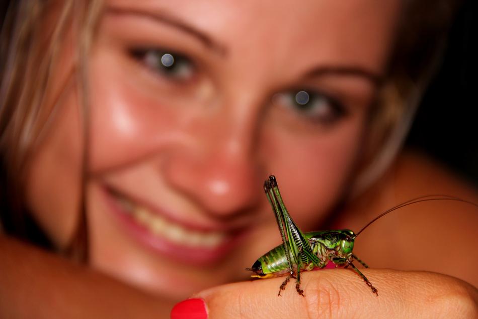 green grasshopper on girl’s finger