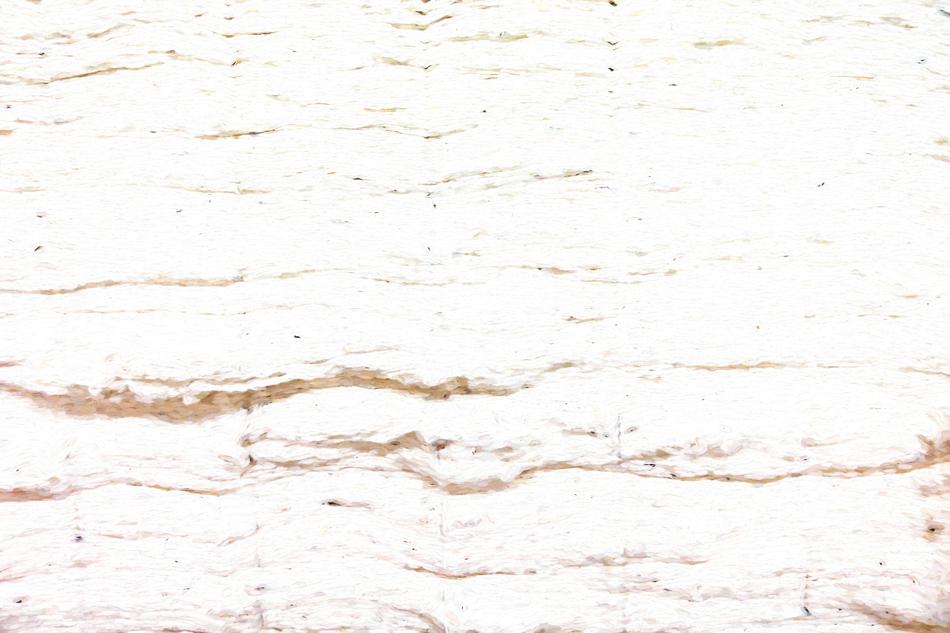 Texture as a Art drawing