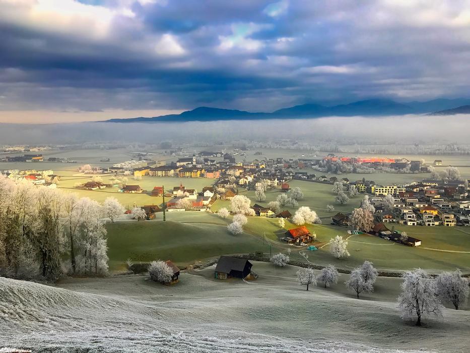 Switzerland Frost Hoarfrost