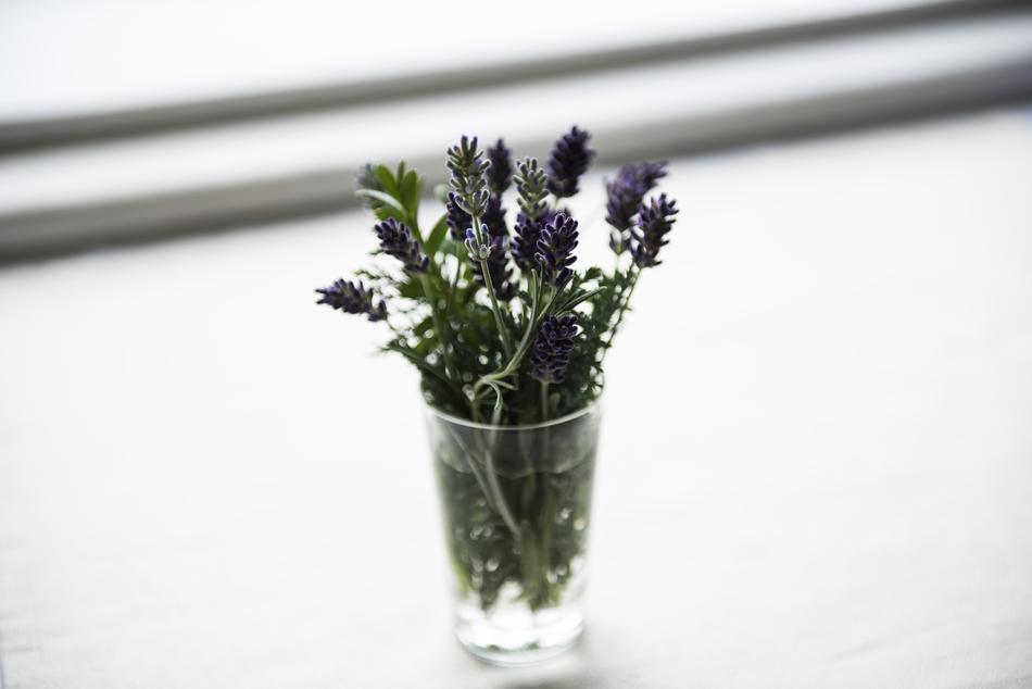 Bloom Blossom Decoration