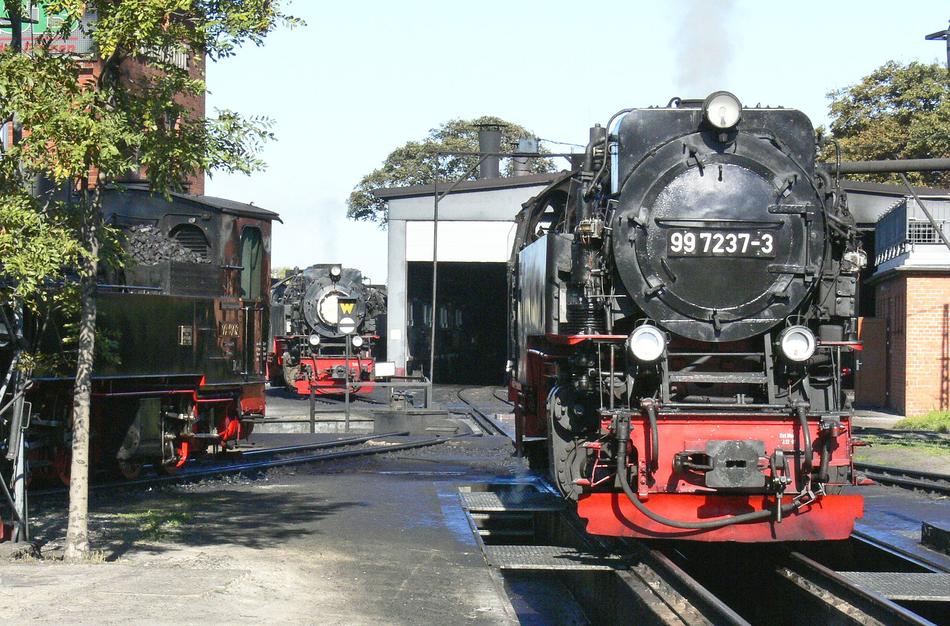 antique Steam Locomotive Resin