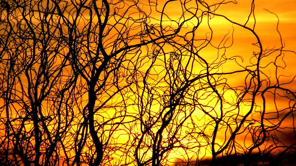 Sunset Afterglow Abendstimmung