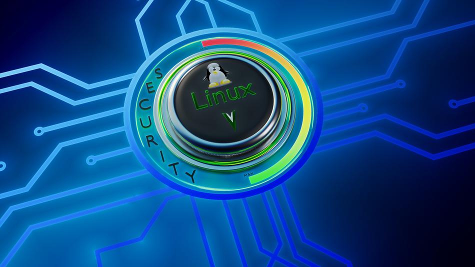 background security linux 3d drawing