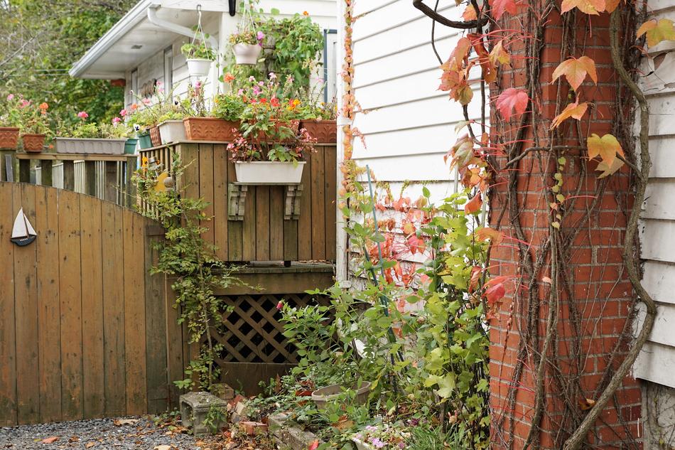 wooden fence in the backyard of the house