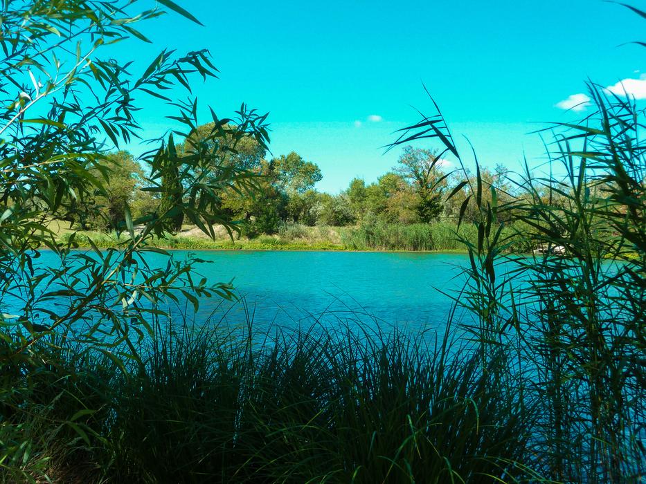 Lake Vallabrègues Water