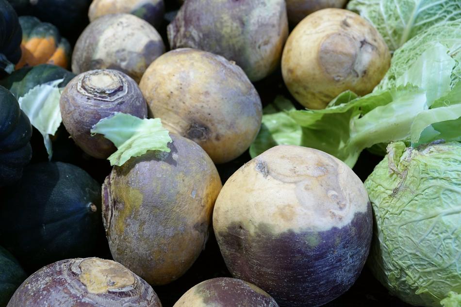 tasty vegetables on sale