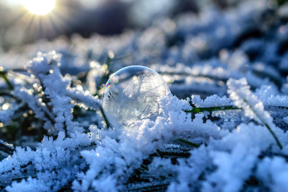 Soap Bubble Frozen