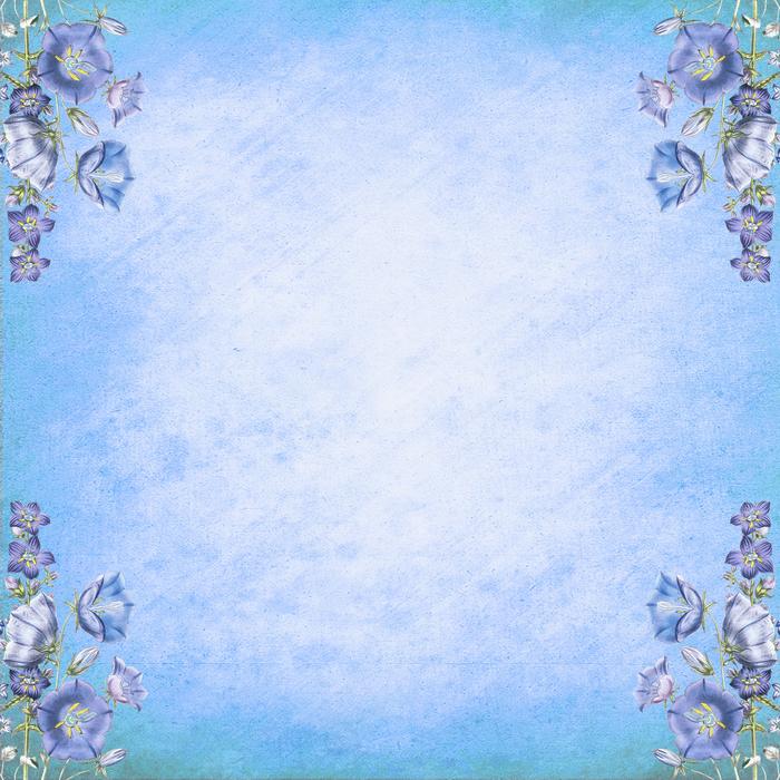background scrapbooking paper white blue flowers