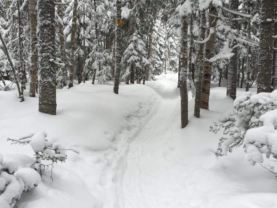 Racket Snow Winter