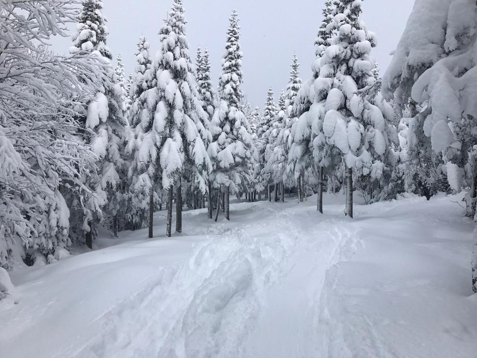 Snow Ski Winter