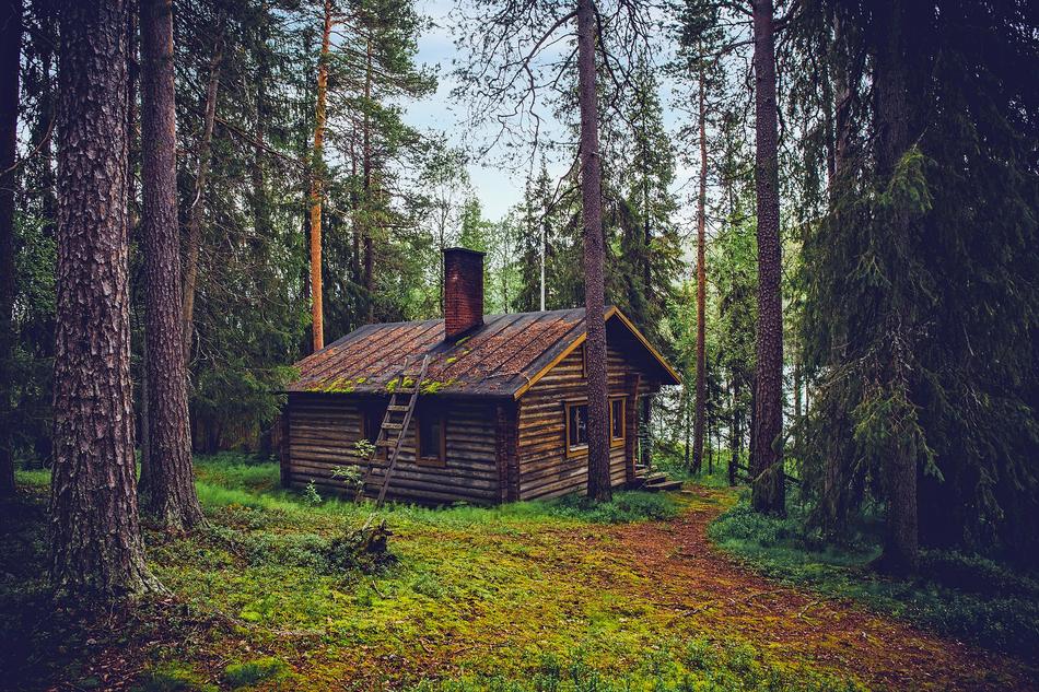Beautiful log cabin, among the colorful trees and grass in Finland