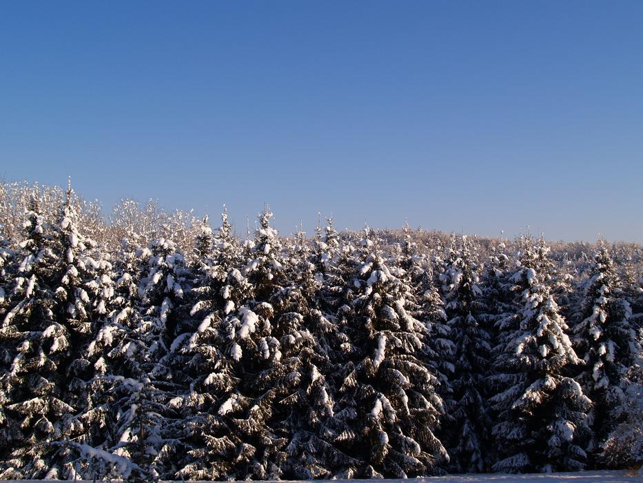 Snow Sun Winer