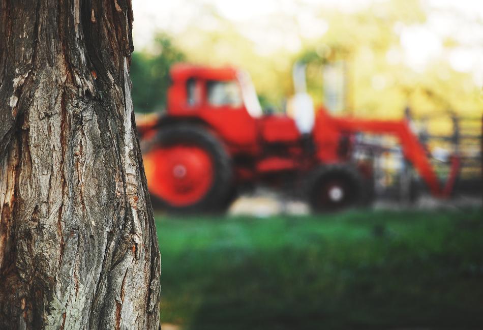 Tree and Tractor in Village