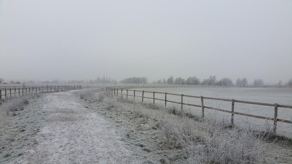 Winter Landscape Zwijndrecht