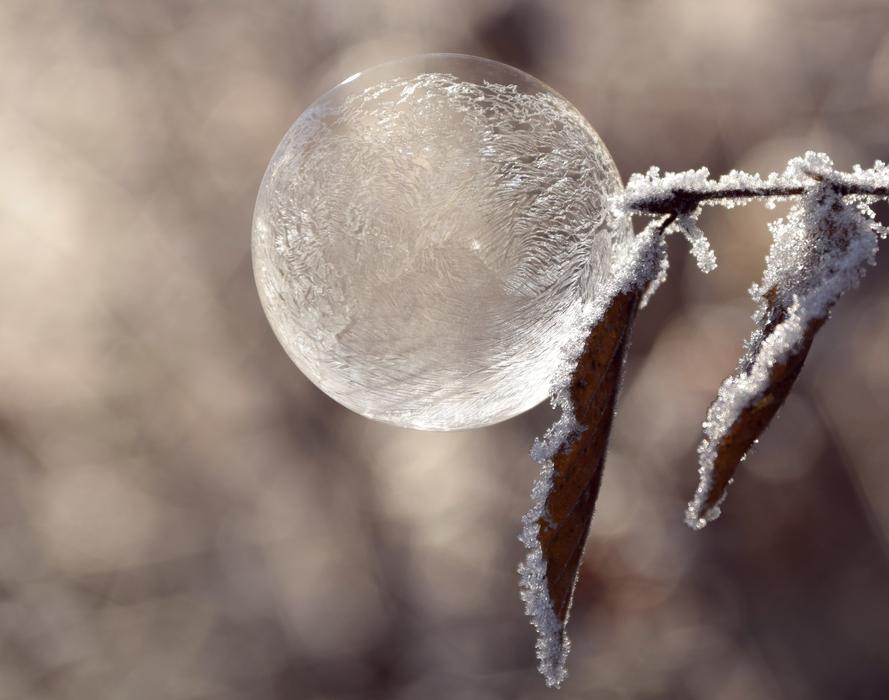 Bubble Soap frozen