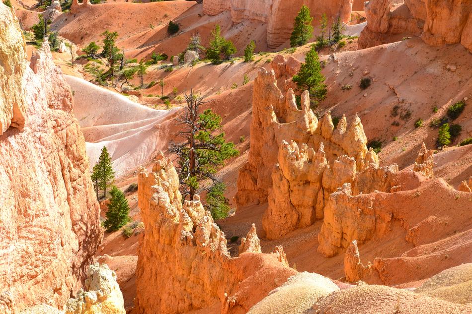 Bryce Canyon Hoodos Usa National