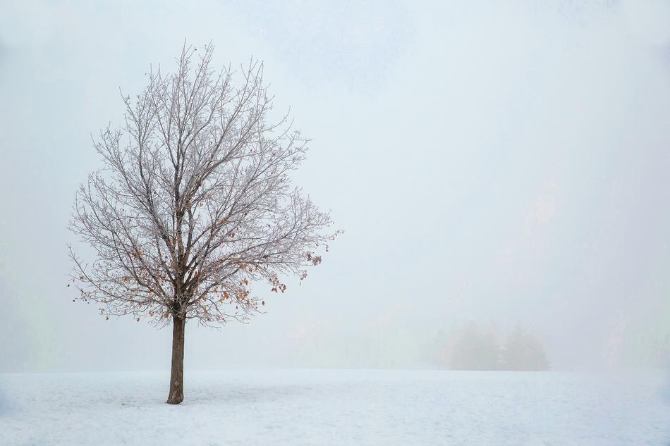 Landscape Snow Winter