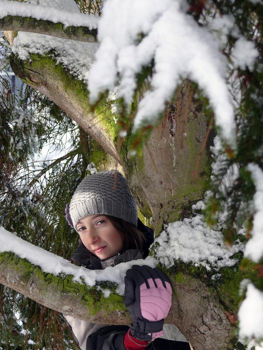 Winter Snow Nature