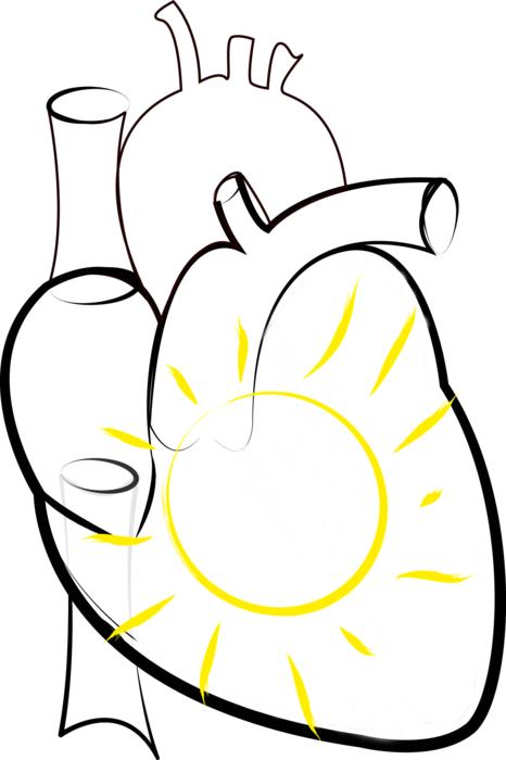 sun in the heart as a drawing