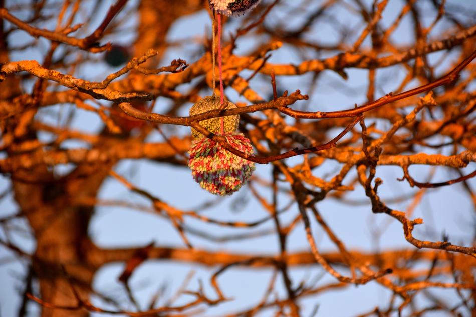 Tree Deco Nature