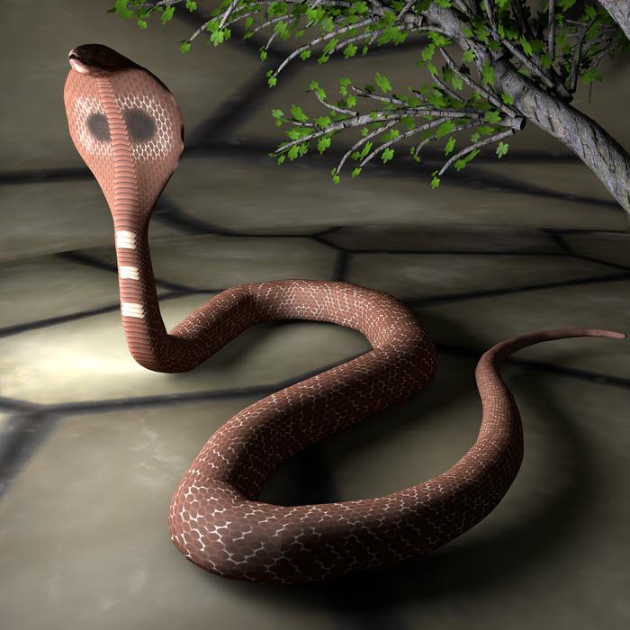 goodly snake reptile