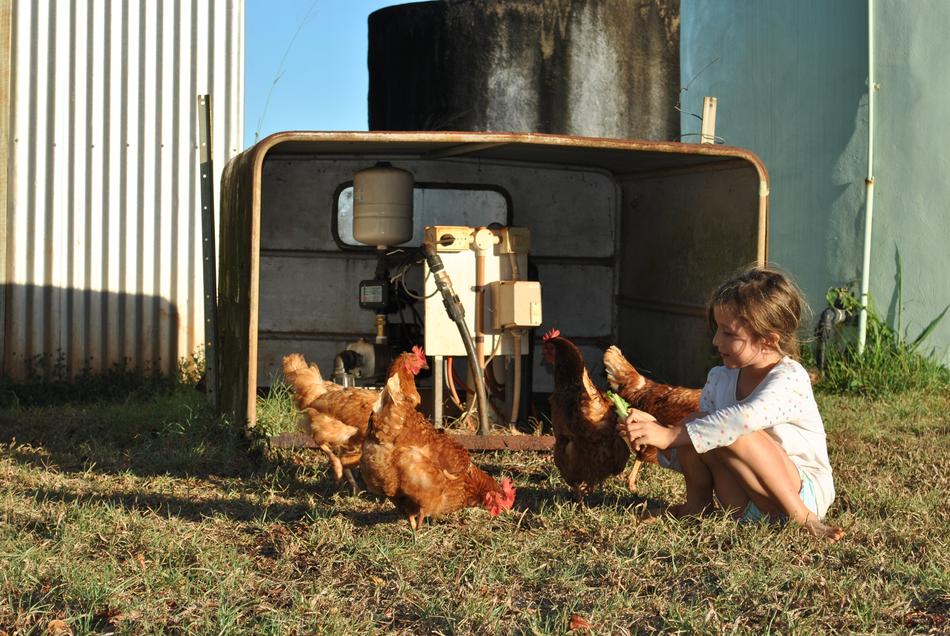 a happy baby with chickens