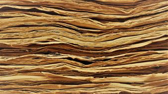 Card Paper Texture drawing