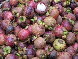 purple tropical fruit