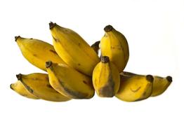 Large delicious bananas